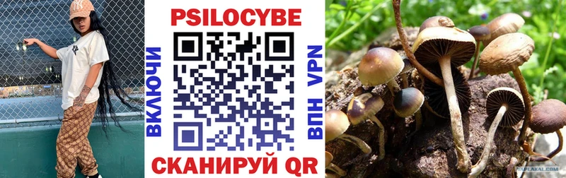Галлюциногенные грибы Psilocybe  Калуга 